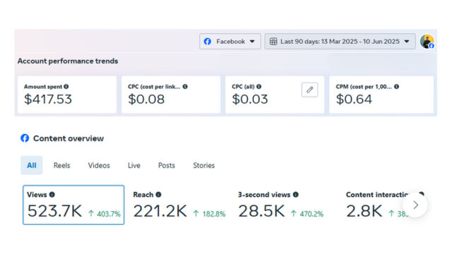Shashwata Mahboob's digital marketing performance dashboard showing growth in SEO, paid ads, and content marketing metrics across industries.